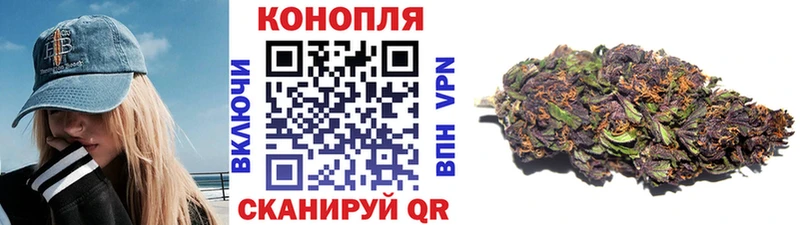 как найти наркотики  Фатеж  Шишки марихуана семена 